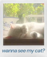 wanna see my cat?